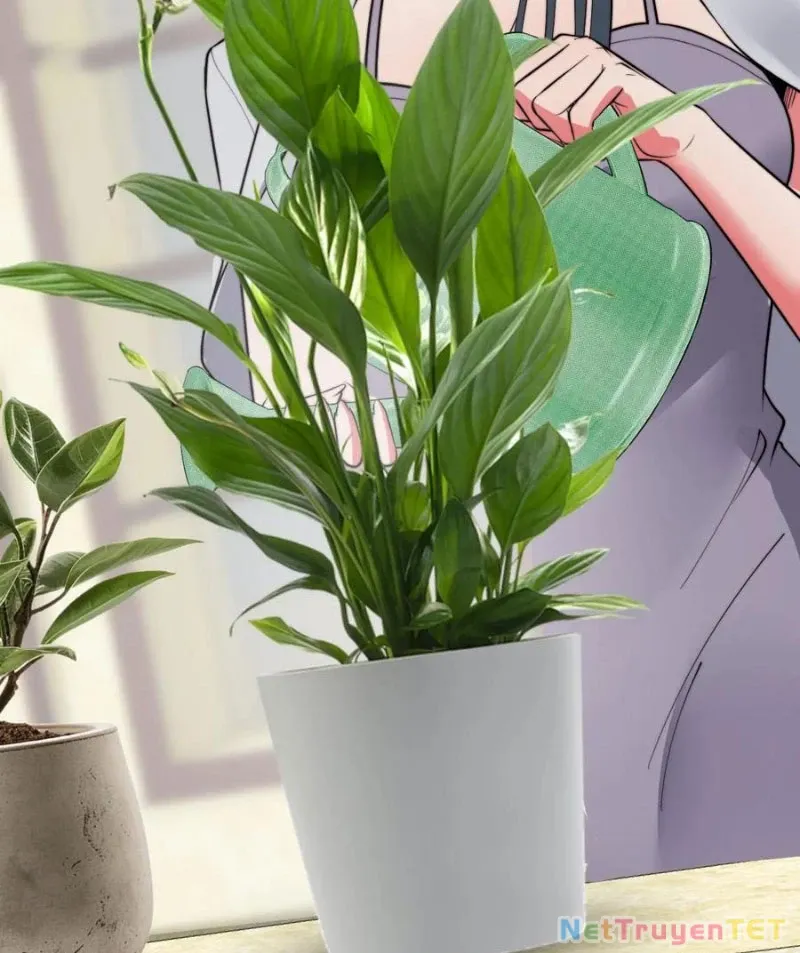 đọc truyện Ta Có 90 Tỷ Tiền Liếm Cẩu! Chương 489 ảnh 10 tại Thiên Thai Truyện