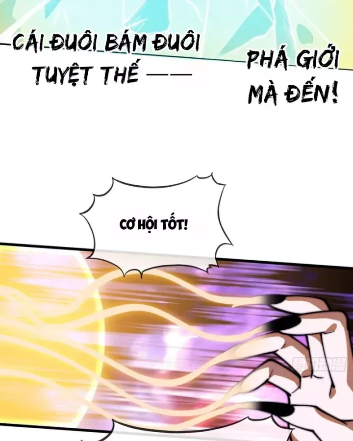 đọc truyện Ta Có Một Sơn Trại Chương 1242 ảnh 29 tại Thiên Thai Truyện