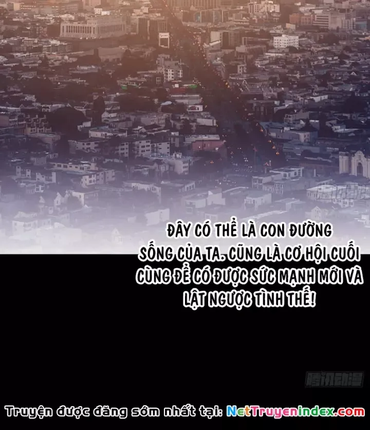 đọc truyện Ta Có Một Sơn Trại Chương 1264 ảnh 50 tại Thiên Thai Truyện