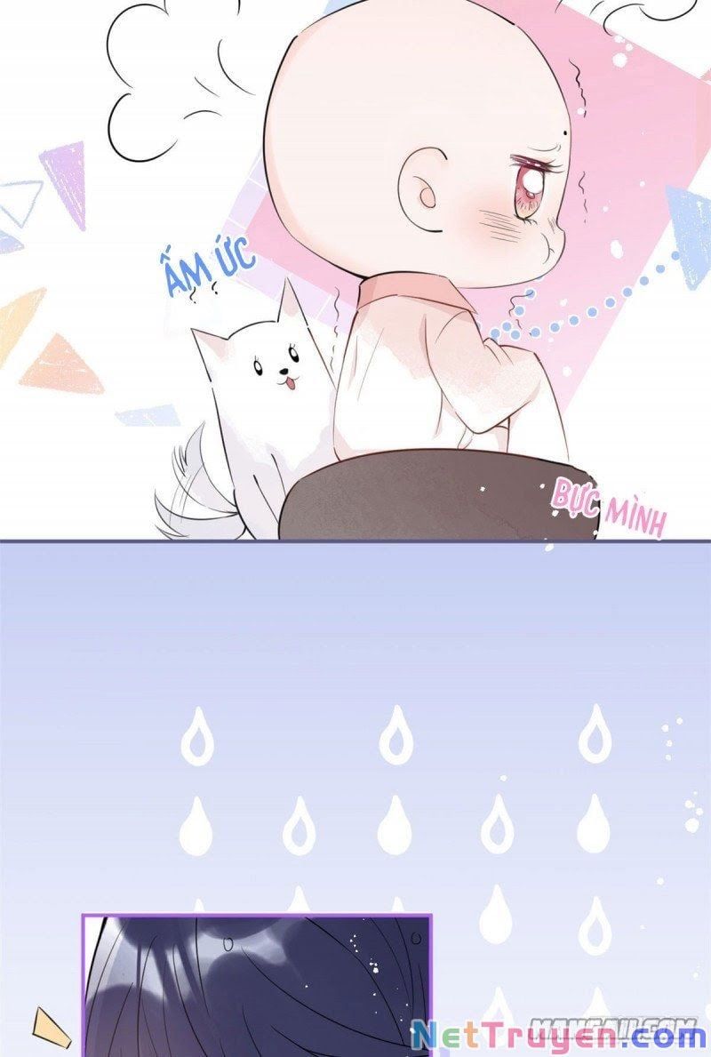 đọc truyện Ta Có Năm Đại Lão Ba Ba Chương 11 ảnh 5 tại Thiên Thai Truyện