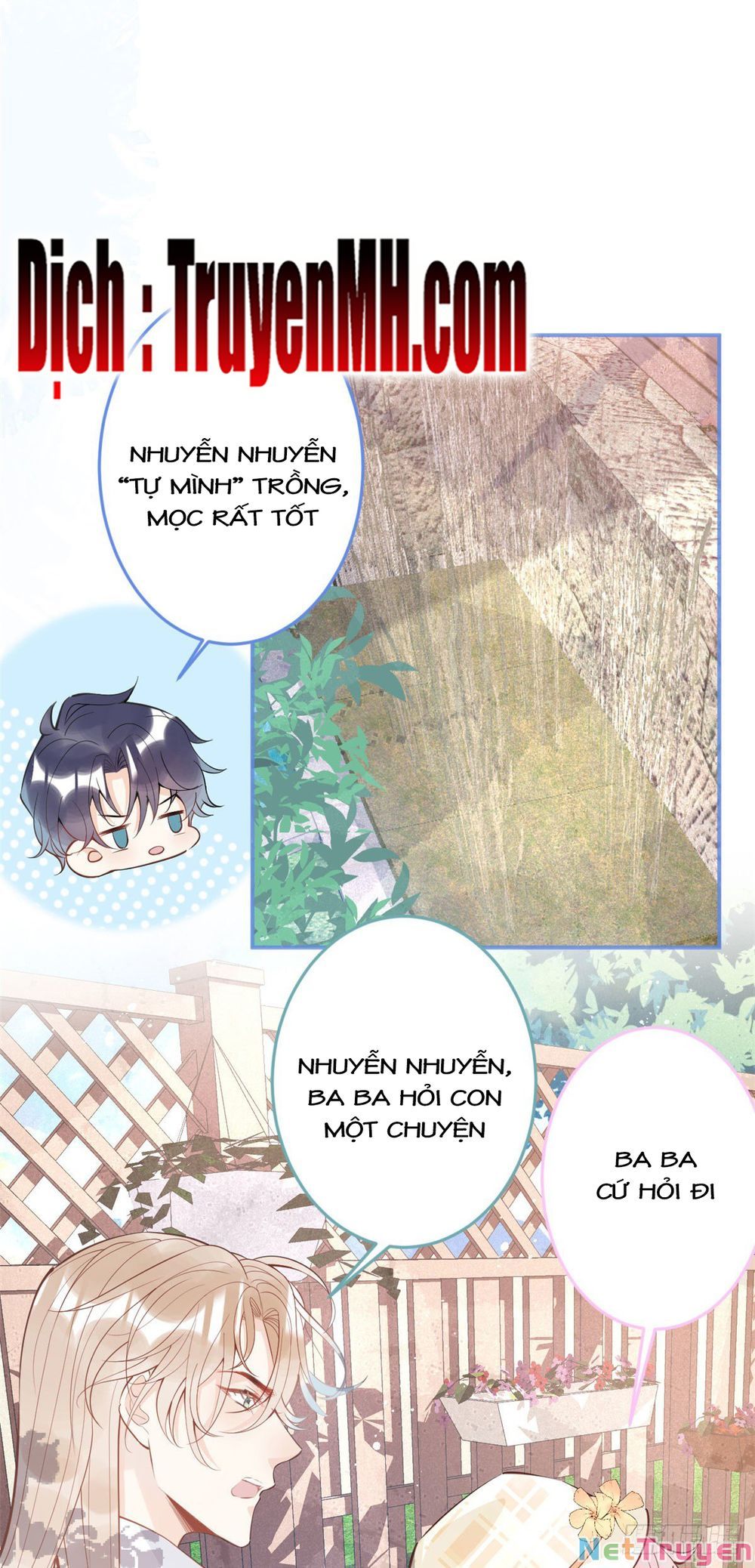 đọc truyện Ta Có Năm Đại Lão Ba Ba Chương 113 ảnh 19 tại Thiên Thai Truyện