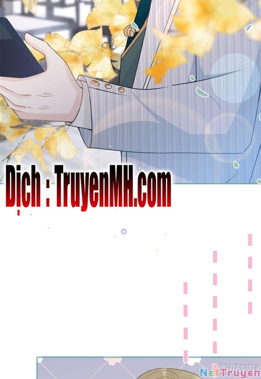 đọc truyện Ta Có Năm Đại Lão Ba Ba Chương 135 ảnh 14 tại Thiên Thai Truyện