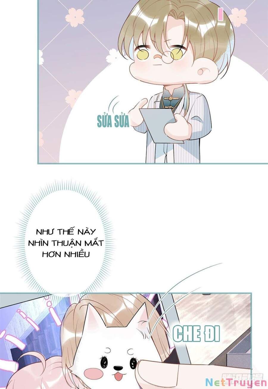 đọc truyện Ta Có Năm Đại Lão Ba Ba Chương 135 ảnh 15 tại Thiên Thai Truyện