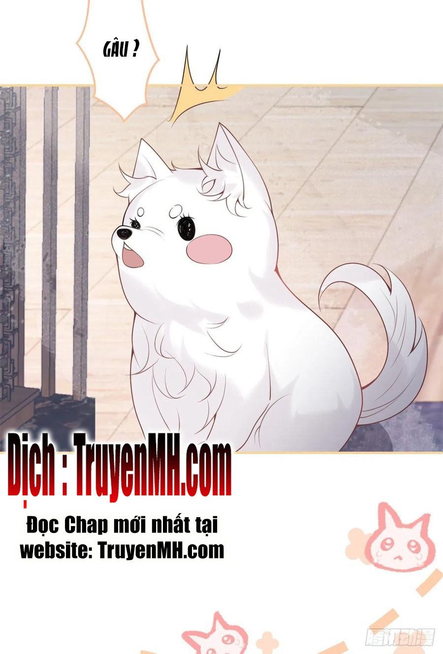 đọc truyện Ta Có Năm Đại Lão Ba Ba Chương 171 ảnh 10 tại Thiên Thai Truyện