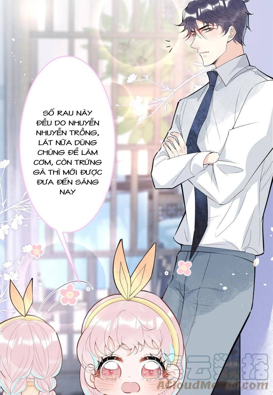 đọc truyện Ta Có Năm Đại Lão Ba Ba Chương 178 ảnh 13 tại Thiên Thai Truyện