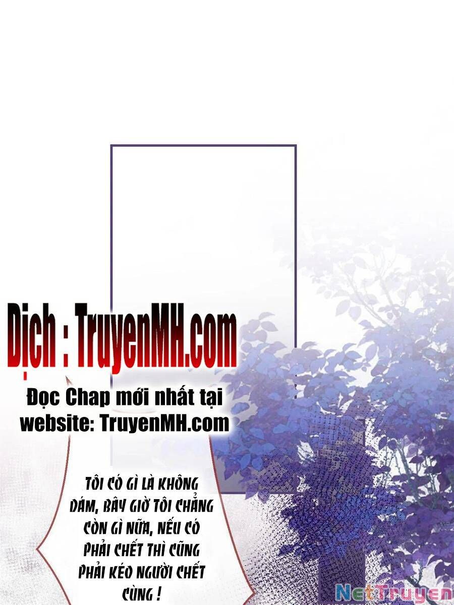 đọc truyện Ta Có Năm Đại Lão Ba Ba Chương 206 ảnh 4 tại Thiên Thai Truyện