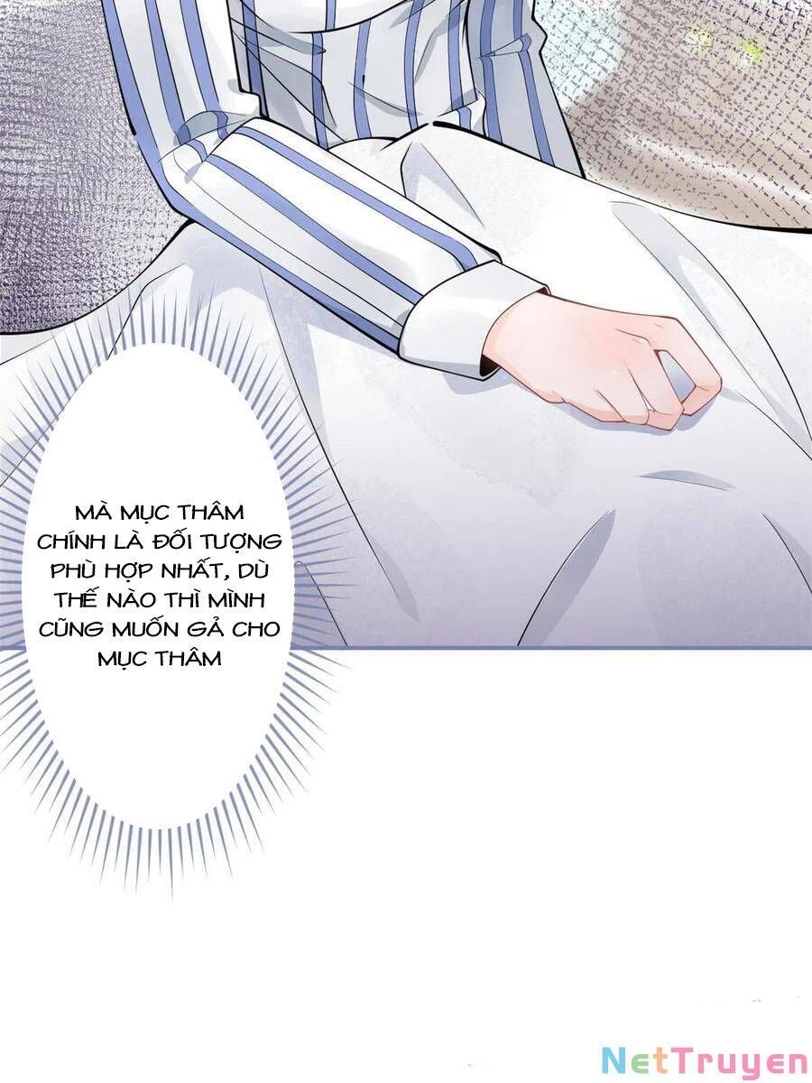 đọc truyện Ta Có Năm Đại Lão Ba Ba Chương 206 ảnh 11 tại Thiên Thai Truyện