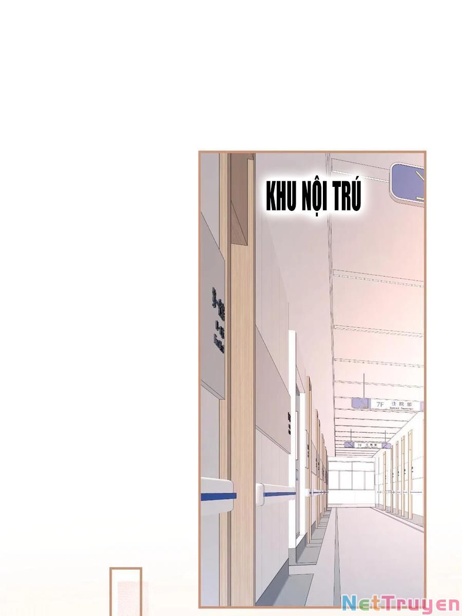 đọc truyện Ta Có Năm Đại Lão Ba Ba Chương 208 ảnh 19 tại Thiên Thai Truyện