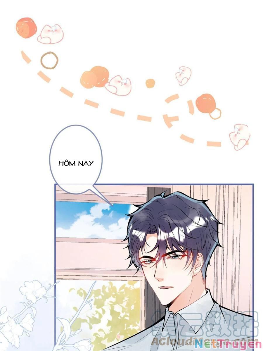 đọc truyện Ta Có Năm Đại Lão Ba Ba Chương 209 ảnh 24 tại Thiên Thai Truyện