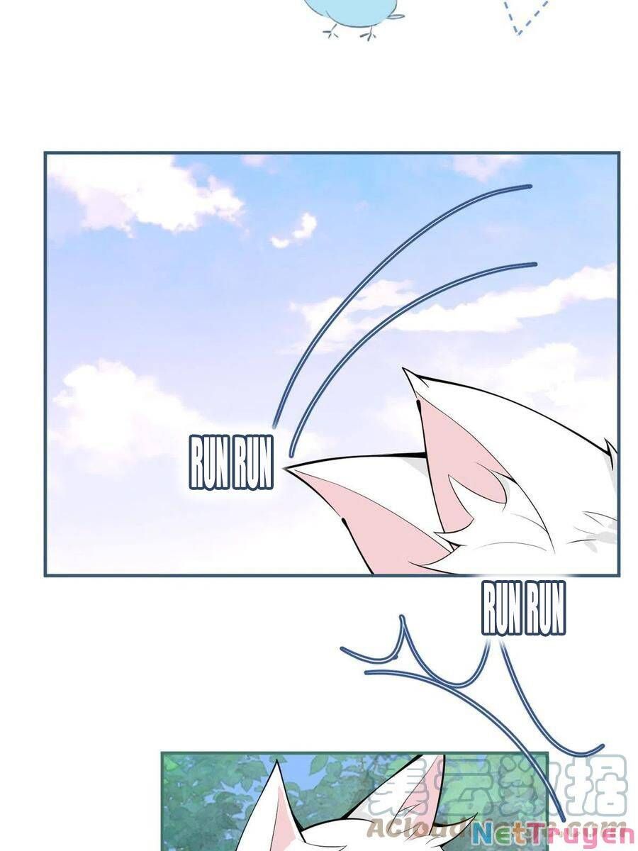 đọc truyện Ta Có Năm Đại Lão Ba Ba Chương 216 ảnh 15 tại Thiên Thai Truyện