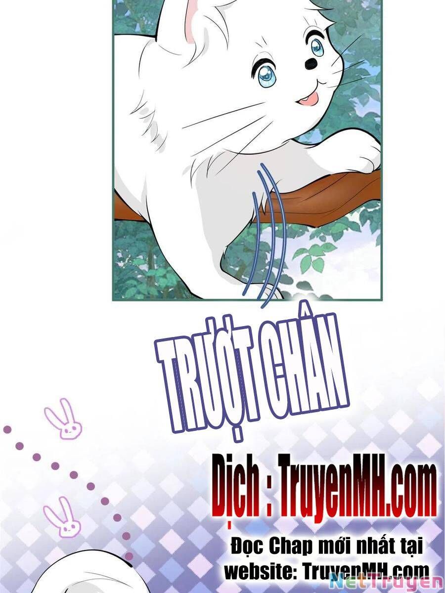 đọc truyện Ta Có Năm Đại Lão Ba Ba Chương 216 ảnh 16 tại Thiên Thai Truyện