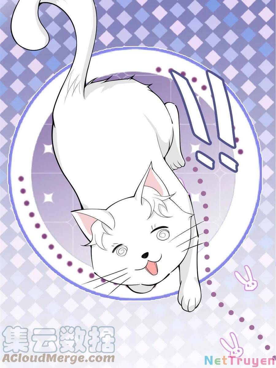 đọc truyện Ta Có Năm Đại Lão Ba Ba Chương 216 ảnh 17 tại Thiên Thai Truyện