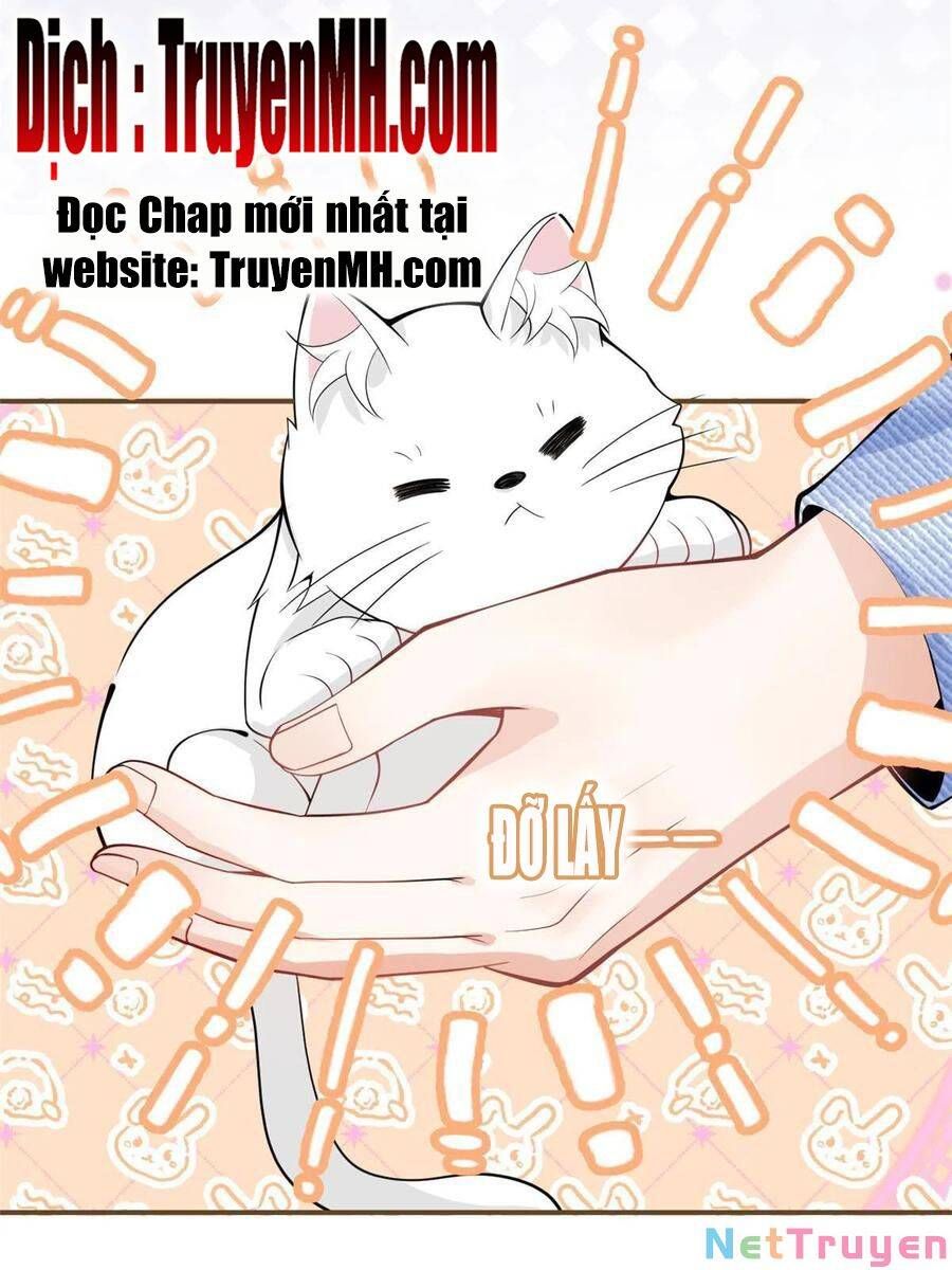 đọc truyện Ta Có Năm Đại Lão Ba Ba Chương 216 ảnh 18 tại Thiên Thai Truyện