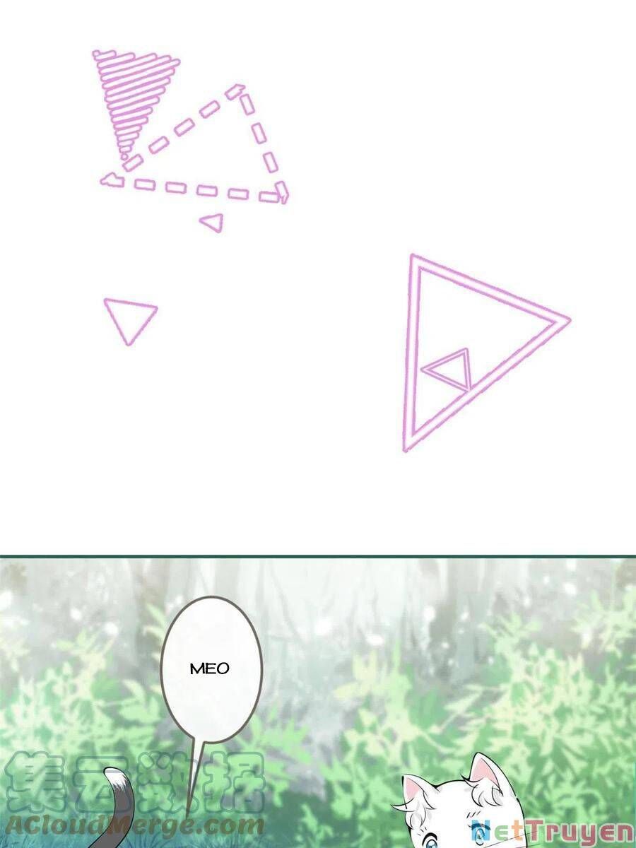 đọc truyện Ta Có Năm Đại Lão Ba Ba Chương 216 ảnh 21 tại Thiên Thai Truyện