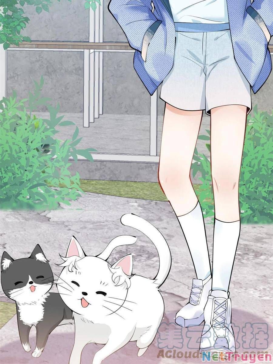 đọc truyện Ta Có Năm Đại Lão Ba Ba Chương 216 ảnh 23 tại Thiên Thai Truyện