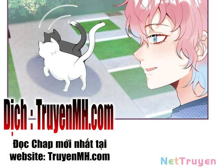 đọc truyện Ta Có Năm Đại Lão Ba Ba Chương 216 ảnh 26 tại Thiên Thai Truyện