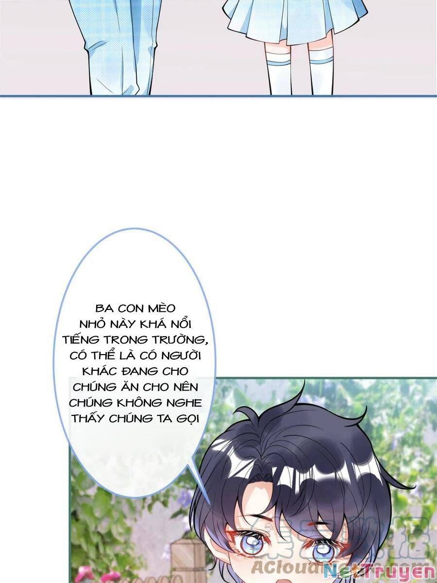 đọc truyện Ta Có Năm Đại Lão Ba Ba Chương 216 ảnh 11 tại Thiên Thai Truyện