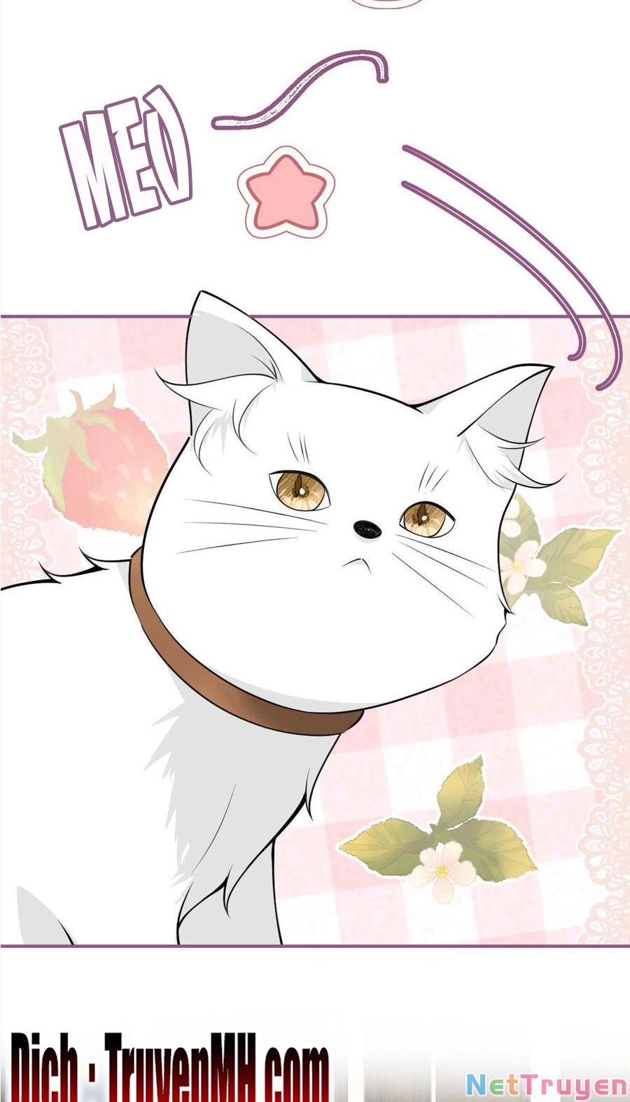 đọc truyện Ta Có Năm Đại Lão Ba Ba Chương 246 ảnh 13 tại Thiên Thai Truyện