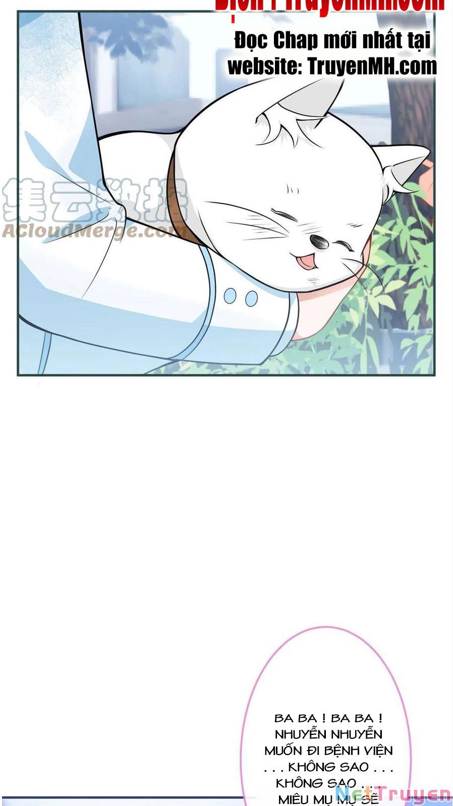 đọc truyện Ta Có Năm Đại Lão Ba Ba Chương 247 ảnh 14 tại Thiên Thai Truyện