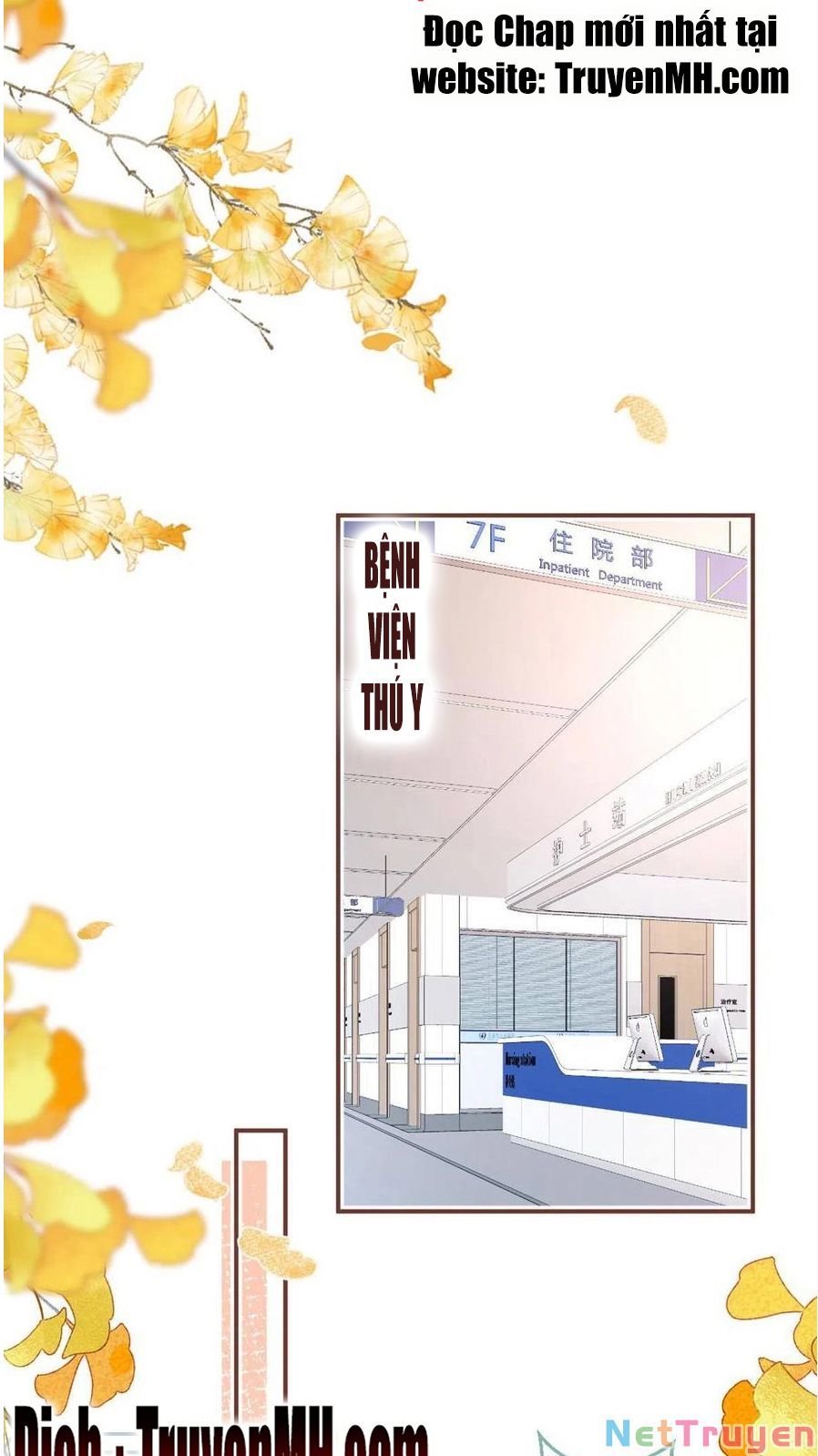 đọc truyện Ta Có Năm Đại Lão Ba Ba Chương 247 ảnh 20 tại Thiên Thai Truyện