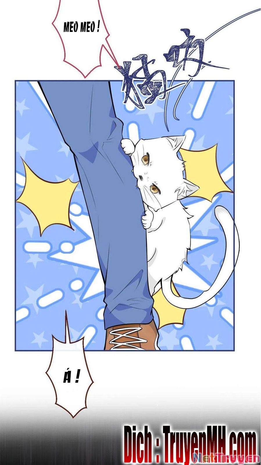 đọc truyện Ta Có Năm Đại Lão Ba Ba Chương 247 ảnh 6 tại Thiên Thai Truyện