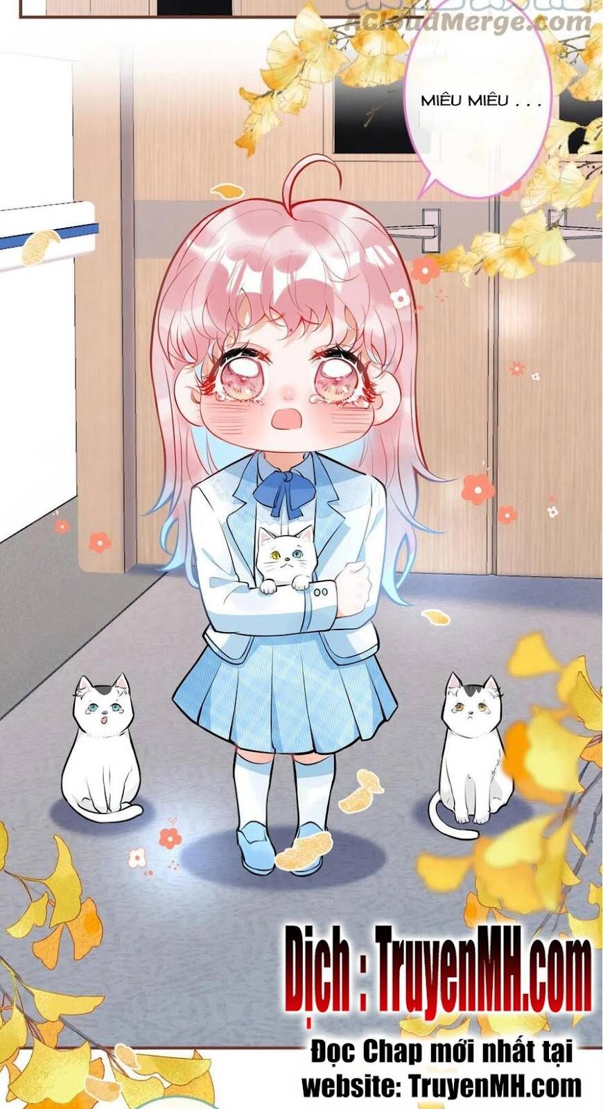 đọc truyện Ta Có Năm Đại Lão Ba Ba Chương 248 ảnh 7 tại Thiên Thai Truyện