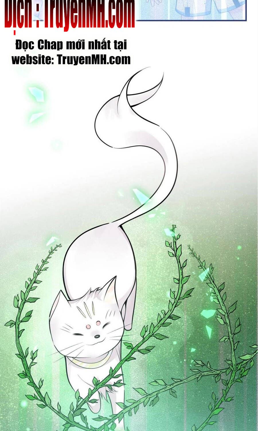 đọc truyện Ta Có Năm Đại Lão Ba Ba Chương 261 ảnh 7 tại Thiên Thai Truyện