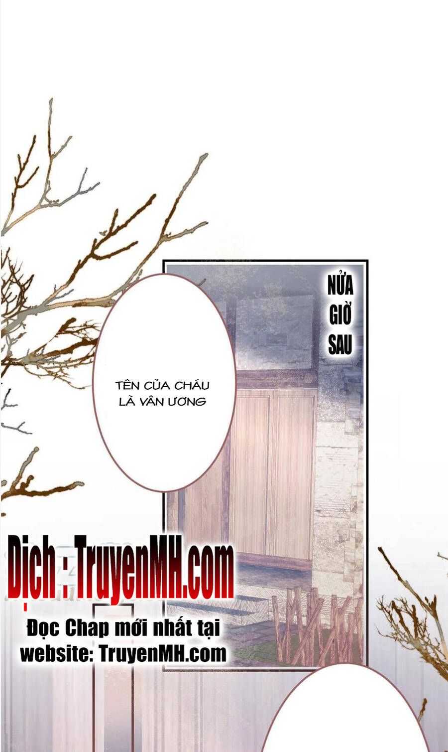 đọc truyện Ta Có Năm Đại Lão Ba Ba Chương 267 ảnh 4 tại Thiên Thai Truyện