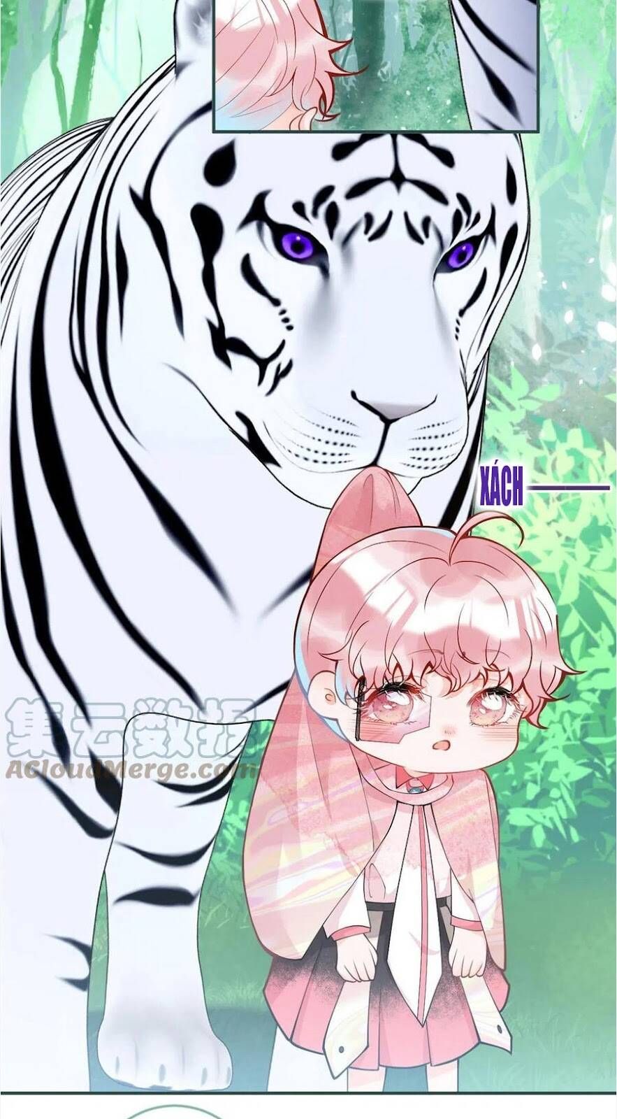 đọc truyện Ta Có Năm Đại Lão Ba Ba Chương 268 ảnh 21 tại Thiên Thai Truyện