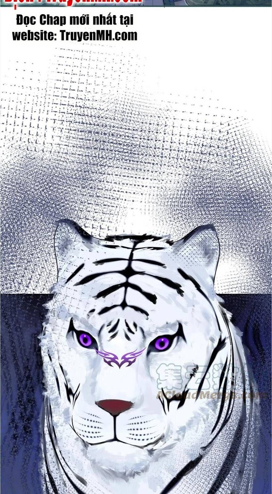 đọc truyện Ta Có Năm Đại Lão Ba Ba Chương 268 ảnh 8 tại Thiên Thai Truyện