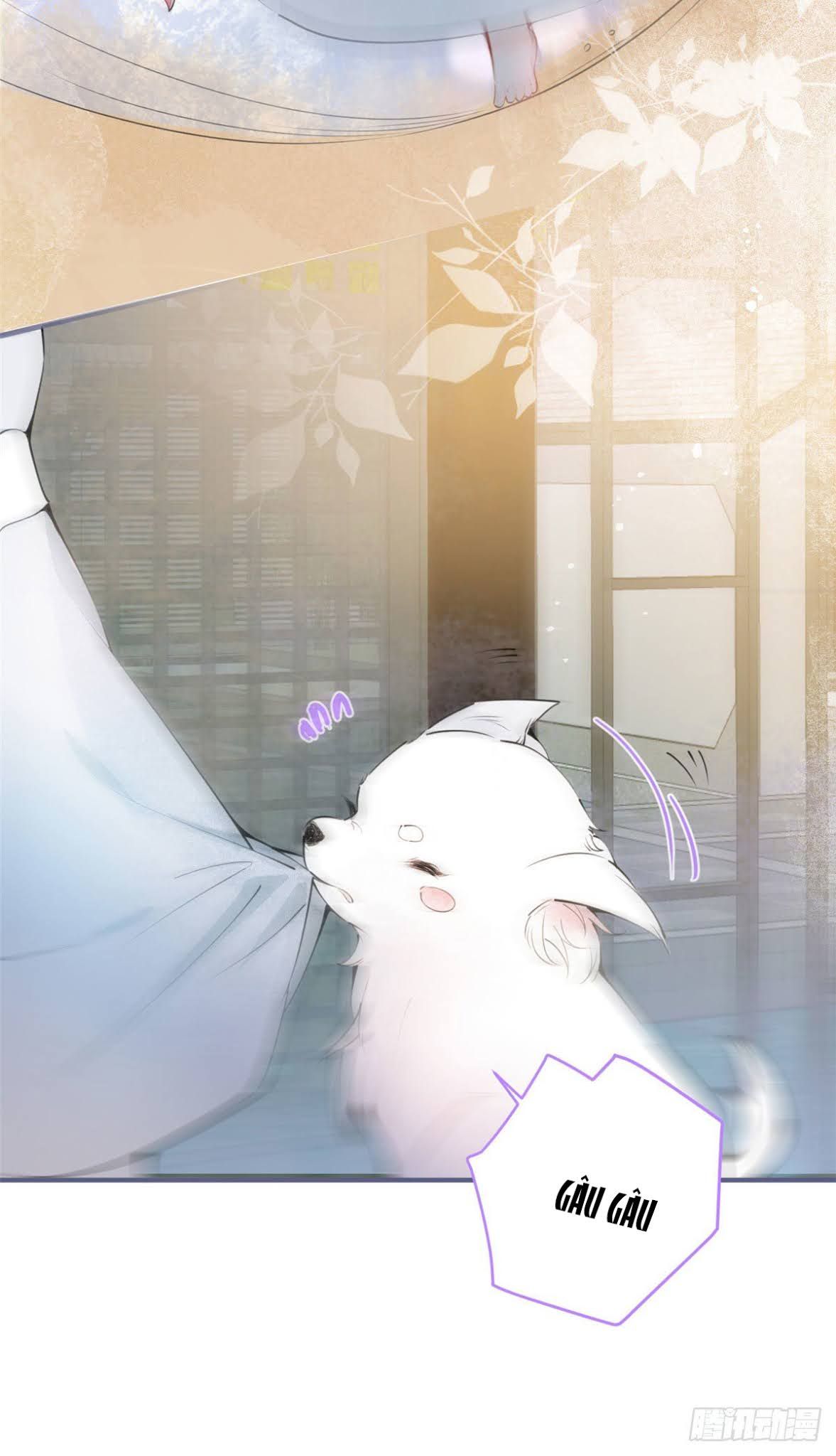 đọc truyện Ta Có Năm Đại Lão Ba Ba Chương 4 ảnh 22 tại Thiên Thai Truyện