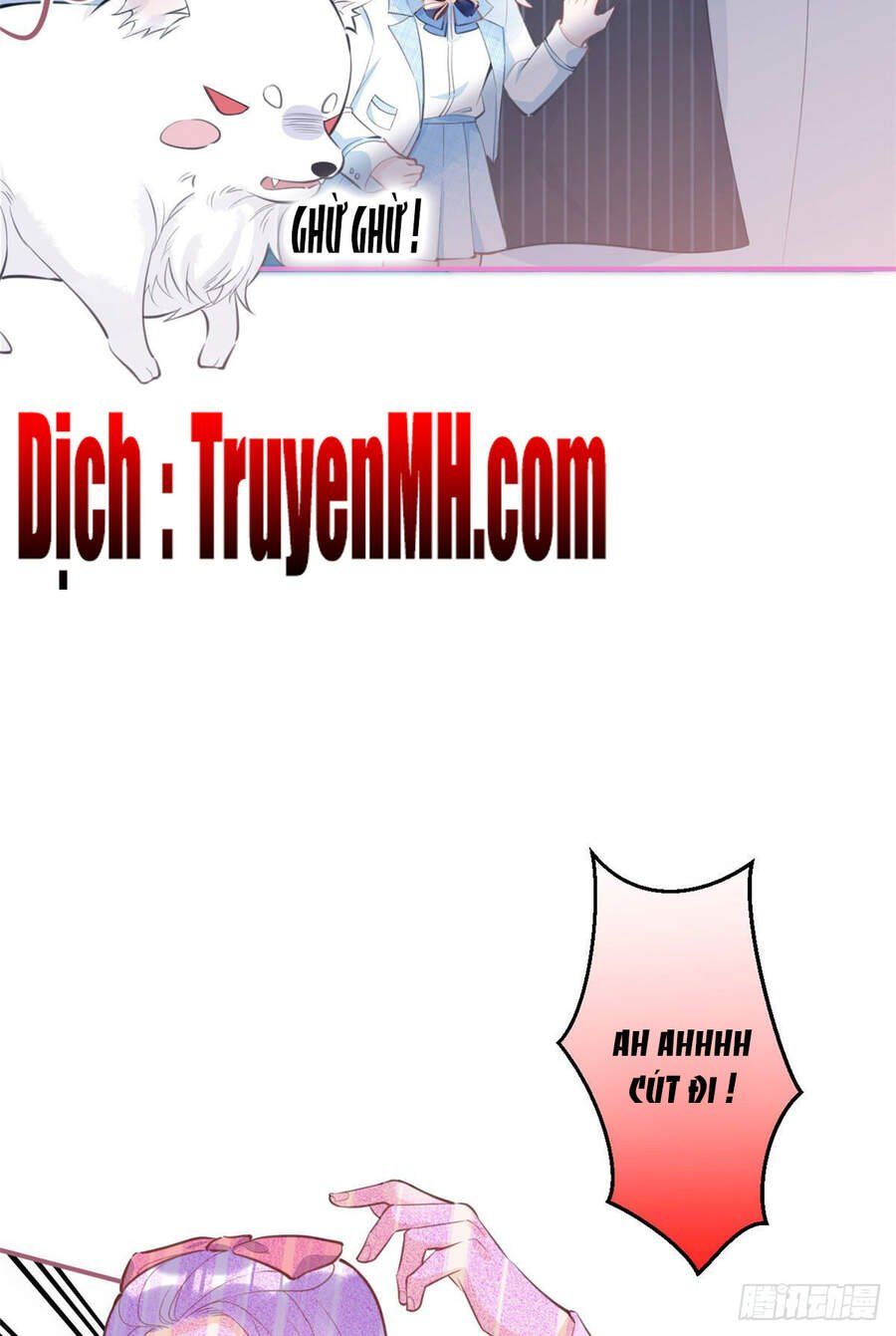 đọc truyện Ta Có Năm Đại Lão Ba Ba Chương 79 ảnh 16 tại Thiên Thai Truyện