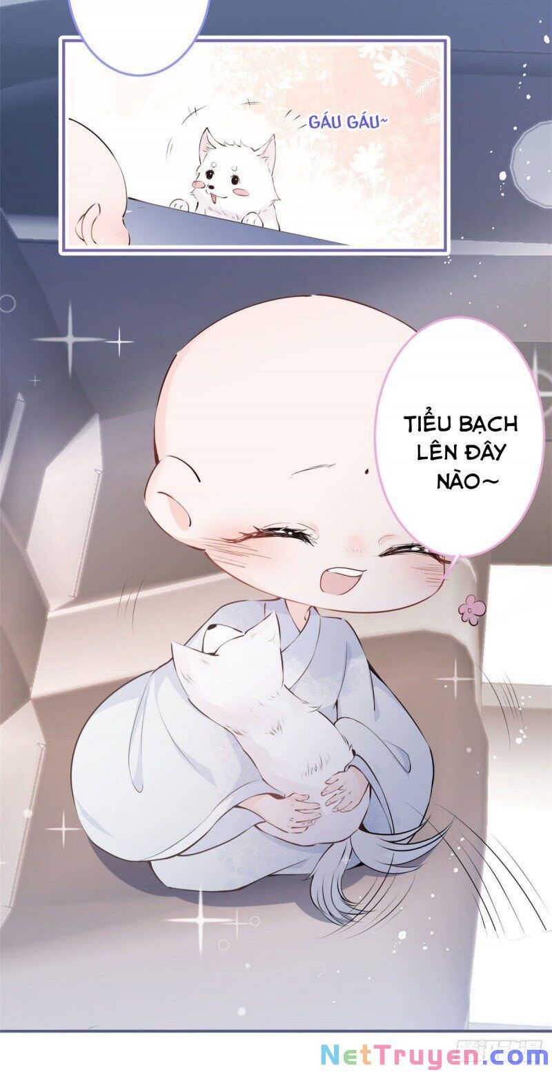 đọc truyện Ta Có Năm Đại Lão Ba Ba Chương 8 ảnh 10 tại Thiên Thai Truyện