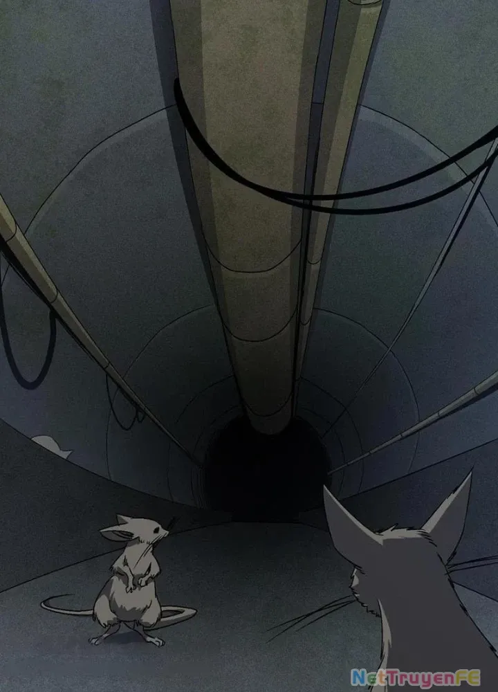 đọc truyện Ta Học Trảm Thần Trong Bệnh Viện Tâm Thần Chương 136 ảnh 48 tại Thiên Thai Truyện