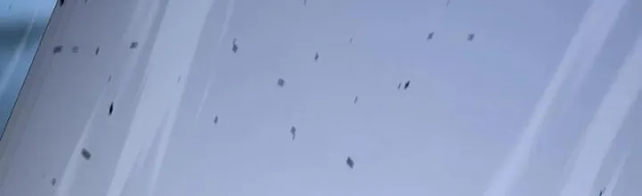 đọc truyện Ta Học Trảm Thần Trong Bệnh Viện Tâm Thần Chương 142 ảnh 3 tại Thiên Thai Truyện