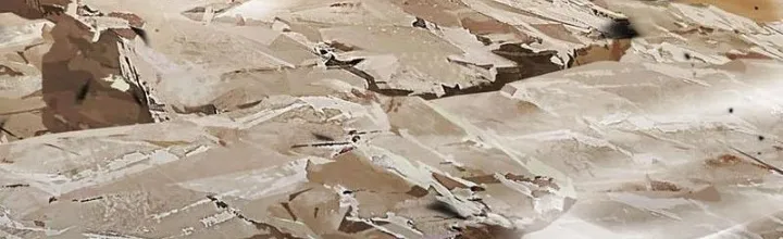 đọc truyện Ta Học Trảm Thần Trong Bệnh Viện Tâm Thần Chương 146 ảnh 3 tại Thiên Thai Truyện