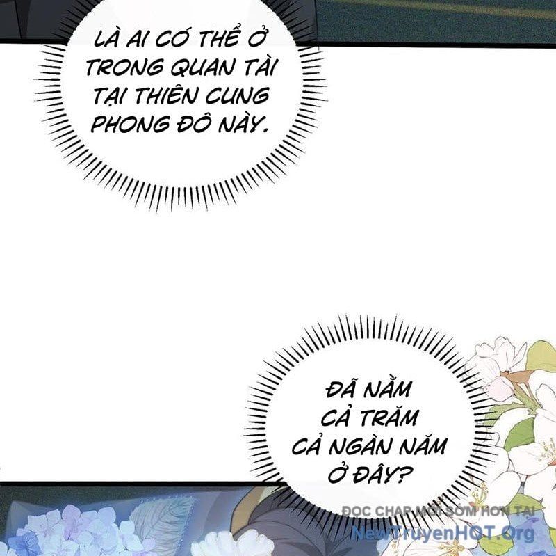 đọc truyện Ta Học Trảm Thần Trong Bệnh Viện Tâm Thần Chương 262 ảnh 50 tại Thiên Thai Truyện