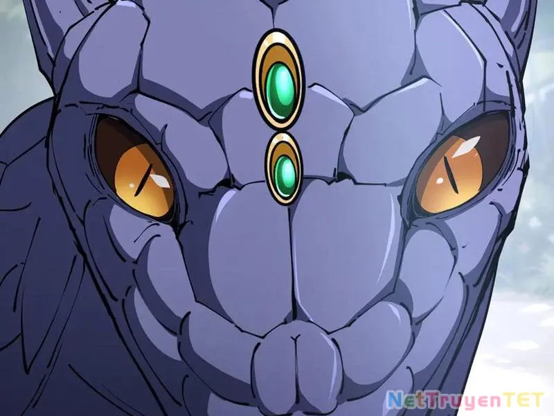 đọc truyện Ta Ký Kết Khế Ước Với Chính Mình Chương 80 ảnh 13 tại Thiên Thai Truyện