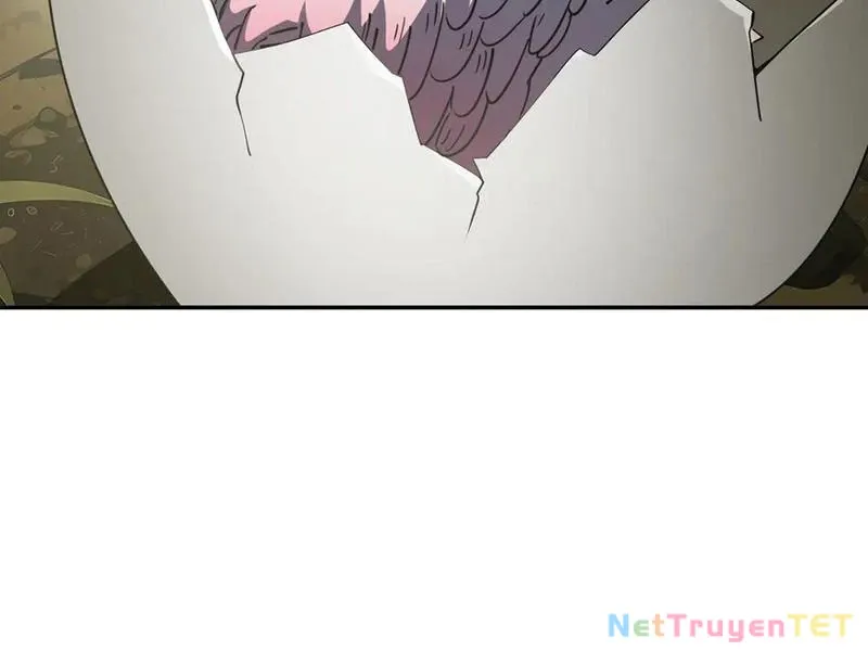 đọc truyện Ta Ký Kết Khế Ước Với Chính Mình Chương 80 ảnh 101 tại Thiên Thai Truyện