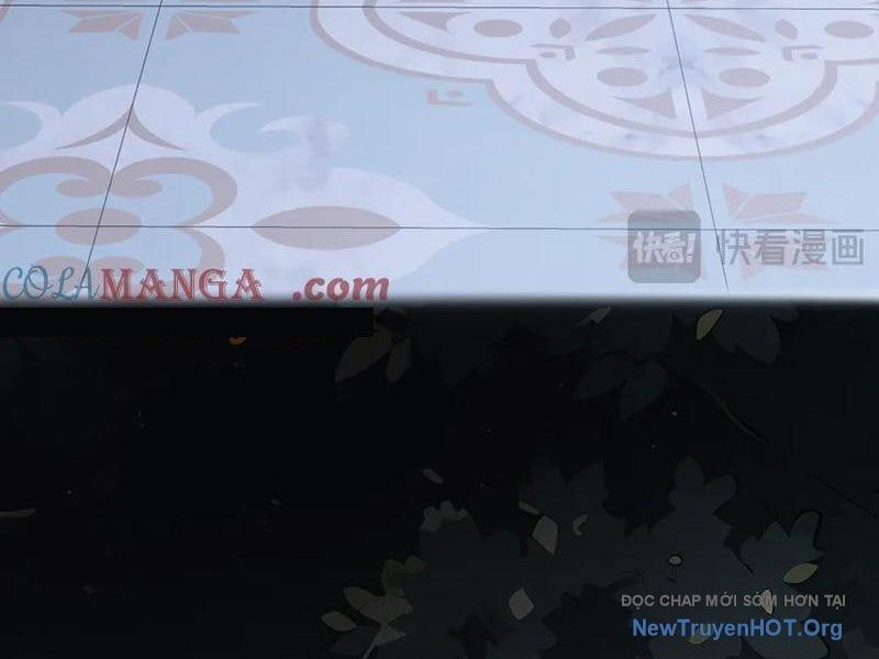 đọc truyện Ta Ký Kết Khế Ước Với Chính Mình Chương 97 ảnh 17 tại Thiên Thai Truyện