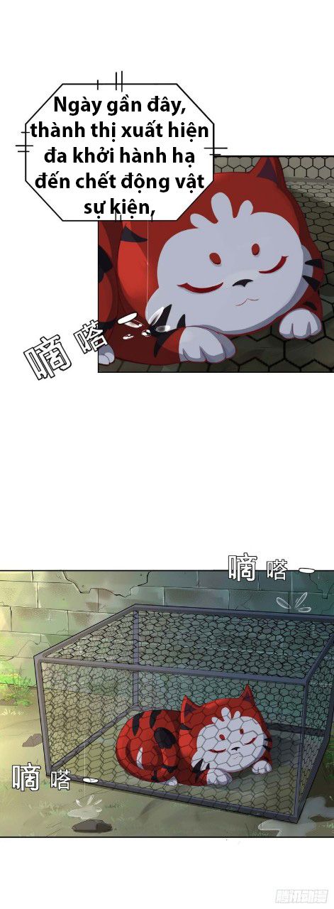 đọc truyện Ta Là Mao Sơn Thiên Sư Chương 1 ảnh 5 tại Thiên Thai Truyện