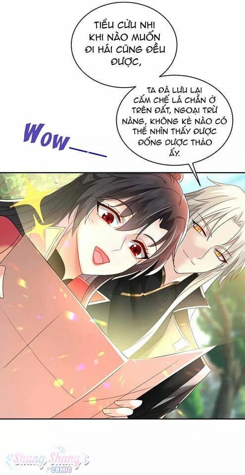 đọc truyện Ta Ở Dị Giới Nuôi Dưỡng Nam Thần: Thần Y Cửu Tiểu Thư Chương 128 ảnh 31 tại Thiên Thai Truyện