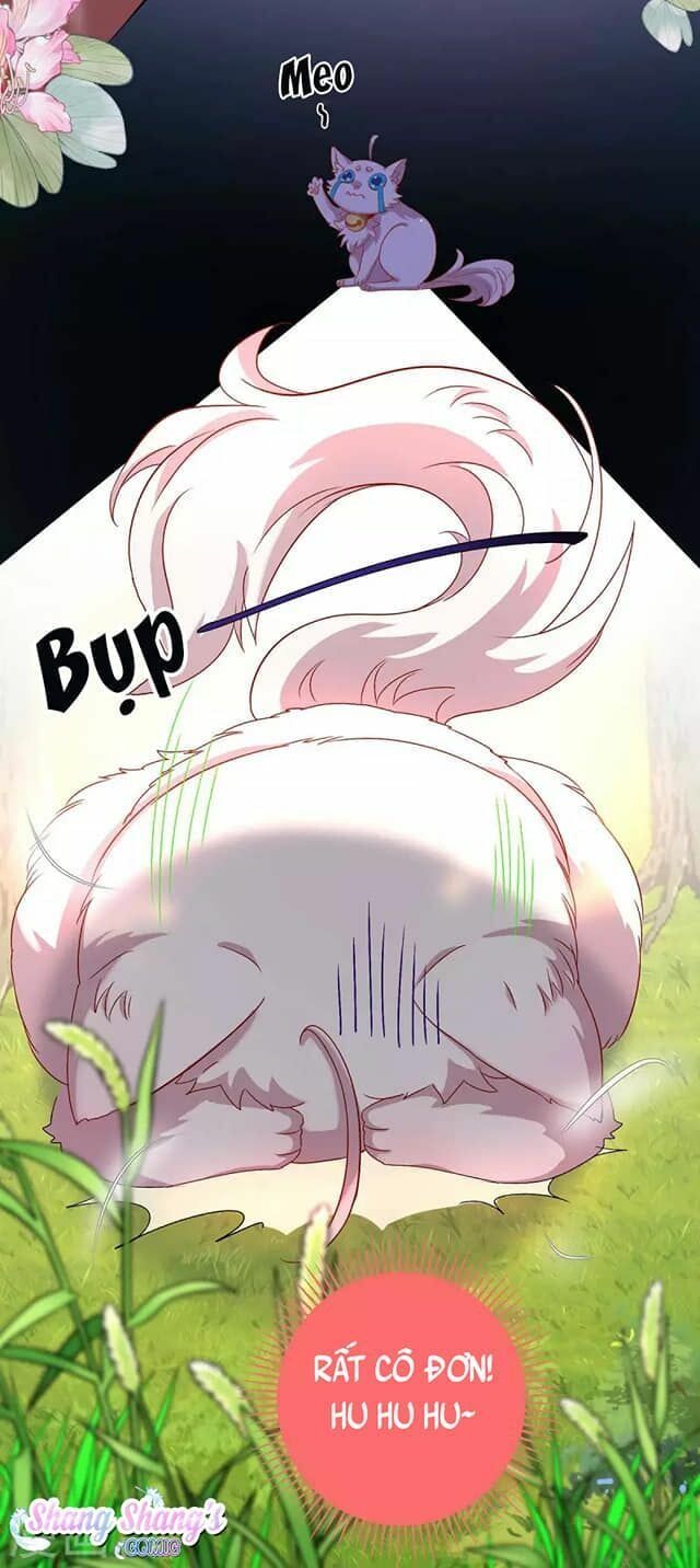 đọc truyện Ta Ở Dị Giới Nuôi Dưỡng Nam Thần: Thần Y Cửu Tiểu Thư Chương 130 ảnh 15 tại Thiên Thai Truyện