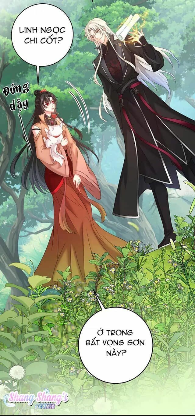 đọc truyện Ta Ở Dị Giới Nuôi Dưỡng Nam Thần: Thần Y Cửu Tiểu Thư Chương 130 ảnh 31 tại Thiên Thai Truyện