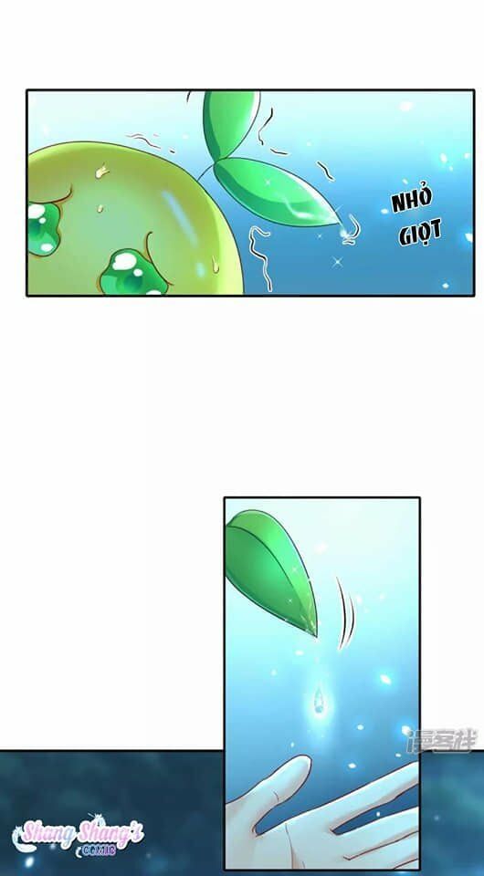 đọc truyện Ta Ở Dị Giới Nuôi Dưỡng Nam Thần: Thần Y Cửu Tiểu Thư Chương 136 ảnh 34 tại Thiên Thai Truyện