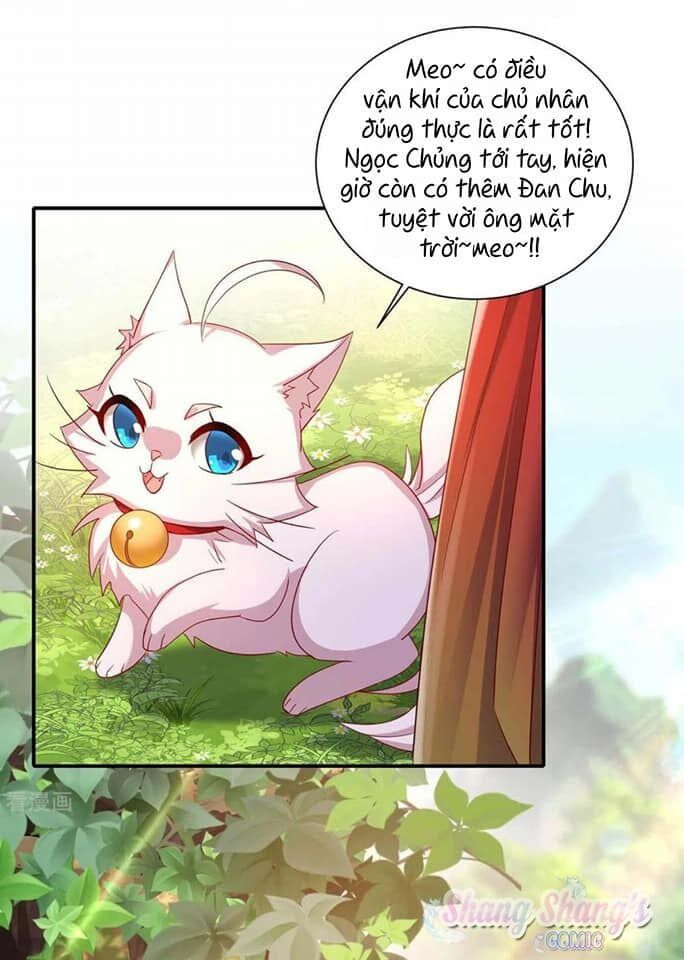 đọc truyện Ta Ở Dị Giới Nuôi Dưỡng Nam Thần: Thần Y Cửu Tiểu Thư Chương 140 ảnh 27 tại Thiên Thai Truyện