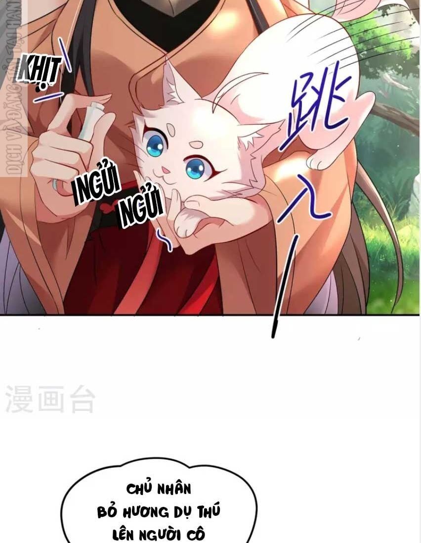 đọc truyện Ta Ở Dị Giới Nuôi Dưỡng Nam Thần: Thần Y Cửu Tiểu Thư Chương 148 ảnh 26 tại Thiên Thai Truyện