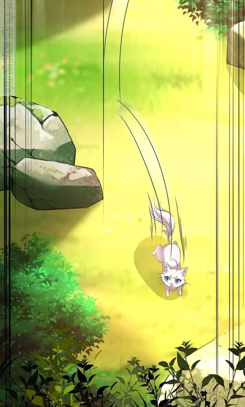 đọc truyện Ta Ở Dị Giới Nuôi Dưỡng Nam Thần: Thần Y Cửu Tiểu Thư Chương 148 ảnh 32 tại Thiên Thai Truyện