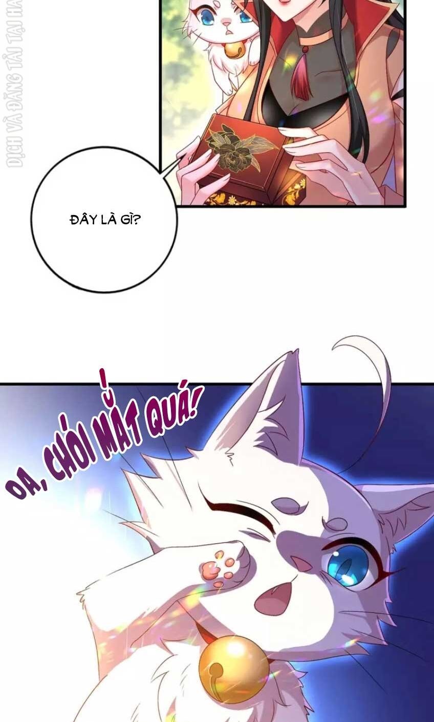 đọc truyện Ta Ở Dị Giới Nuôi Dưỡng Nam Thần: Thần Y Cửu Tiểu Thư Chương 148 ảnh 38 tại Thiên Thai Truyện