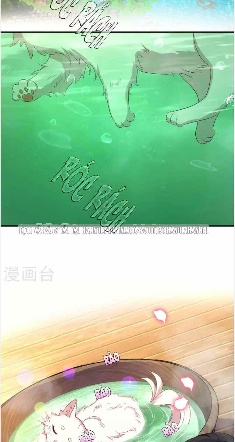 đọc truyện Ta Ở Dị Giới Nuôi Dưỡng Nam Thần: Thần Y Cửu Tiểu Thư Chương 152 ảnh 5 tại Thiên Thai Truyện